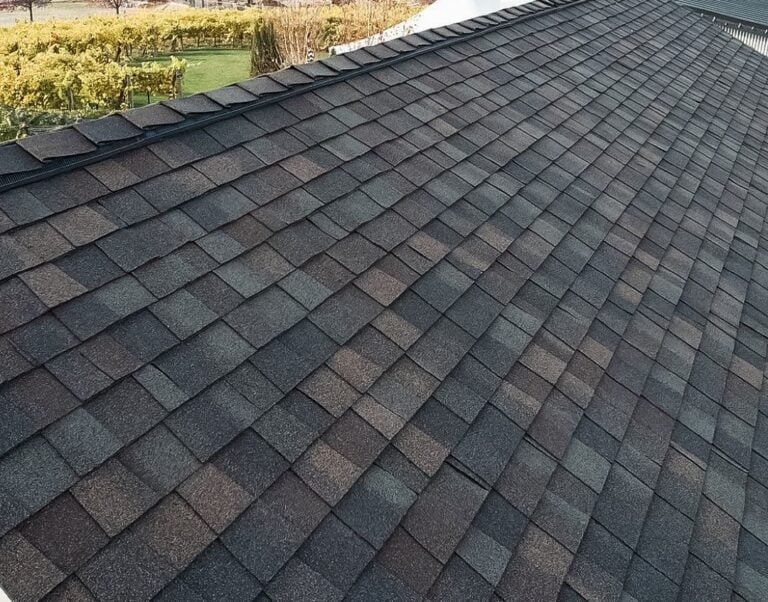Close-up of a dark grey asphalt shingle roof