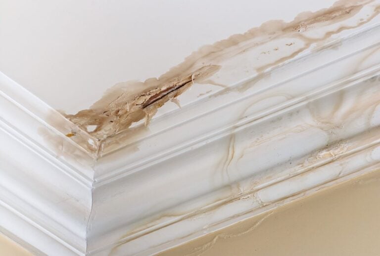how to find a roof leak white ceiling yellow wall