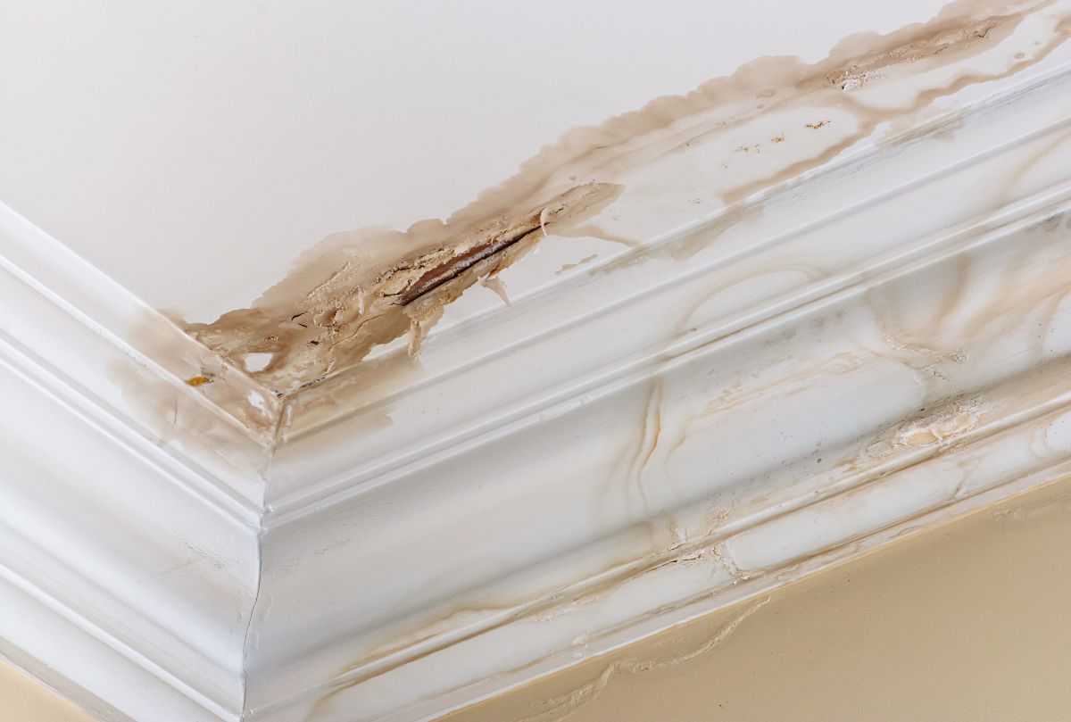 how to find a roof leak white ceiling yellow wall