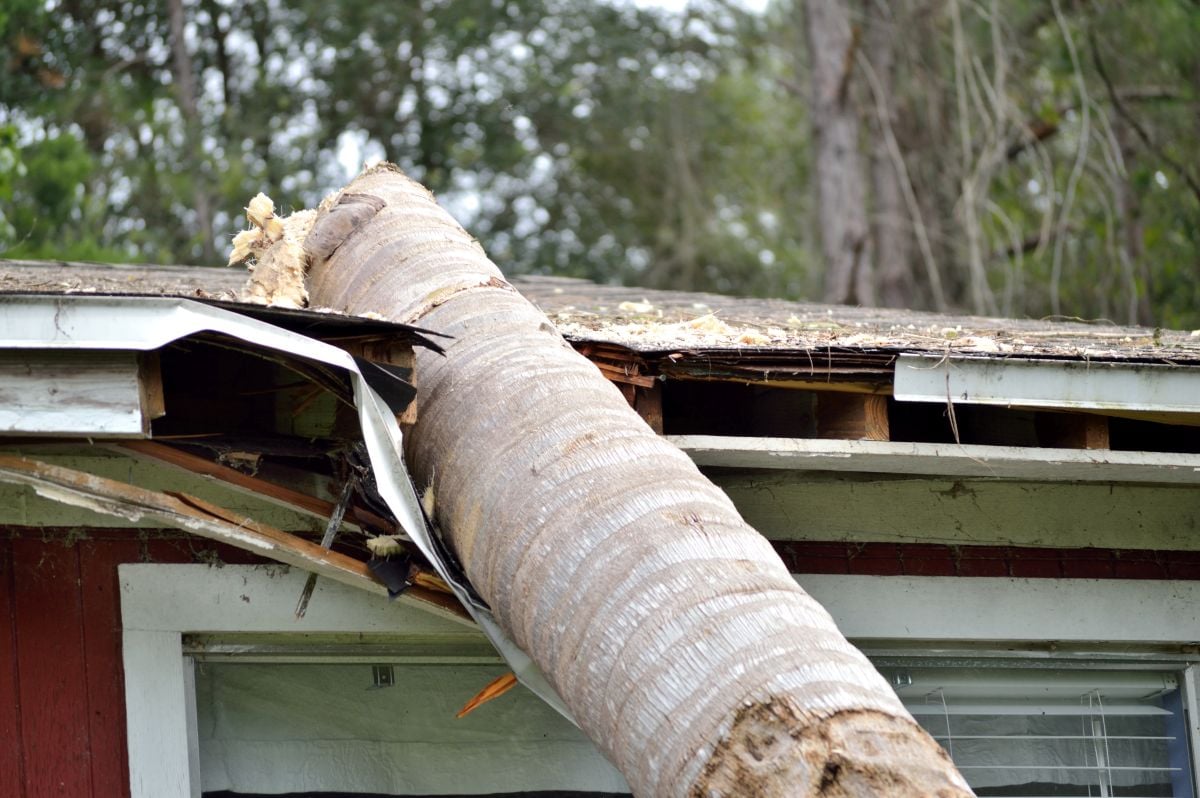 spokane roof insurance claim storm damage lodge destroyed roof