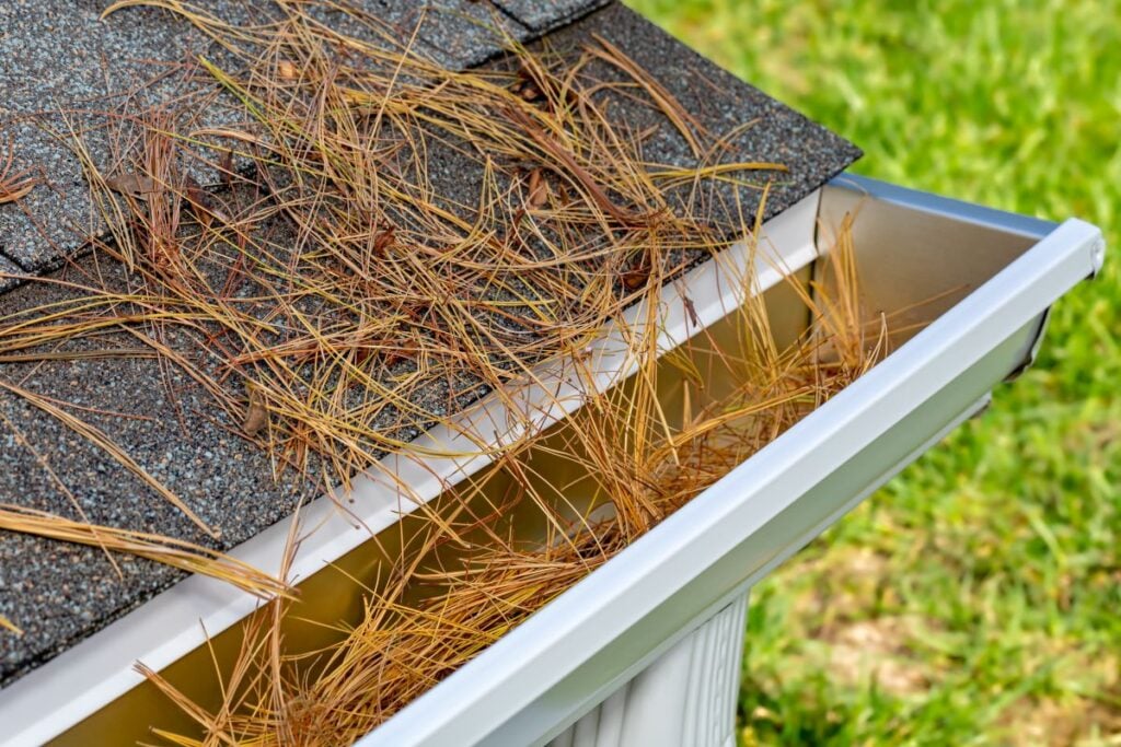pine needles roof damage spokane water gutter clogged with leaves