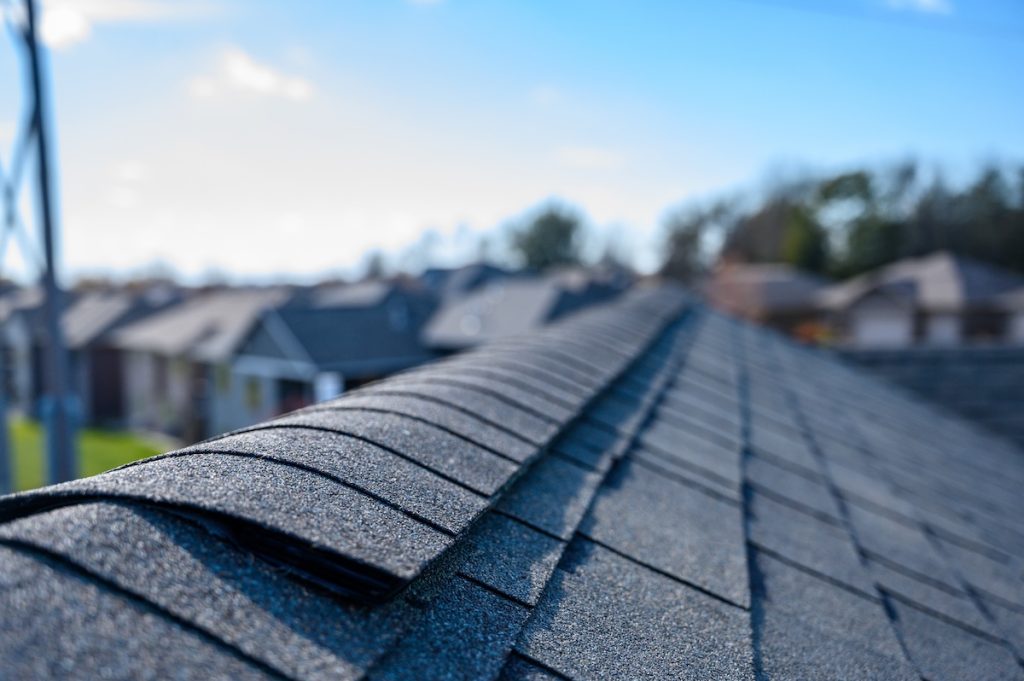 Shingle roof